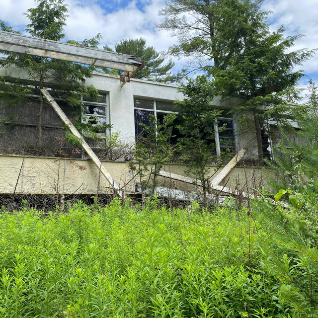 wonder if u care cover